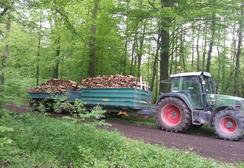Fendt